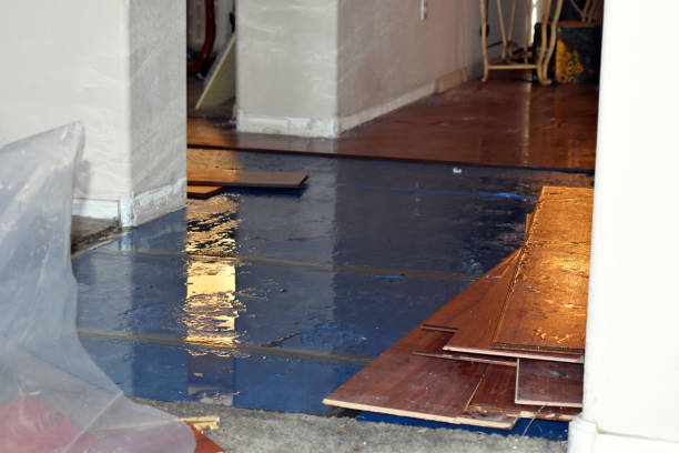 Professional Flood Cleanup technician working in Higdon, AL